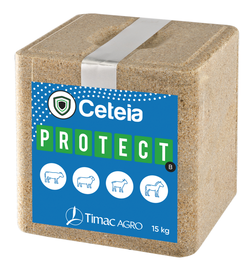 CETEIA PROTECT