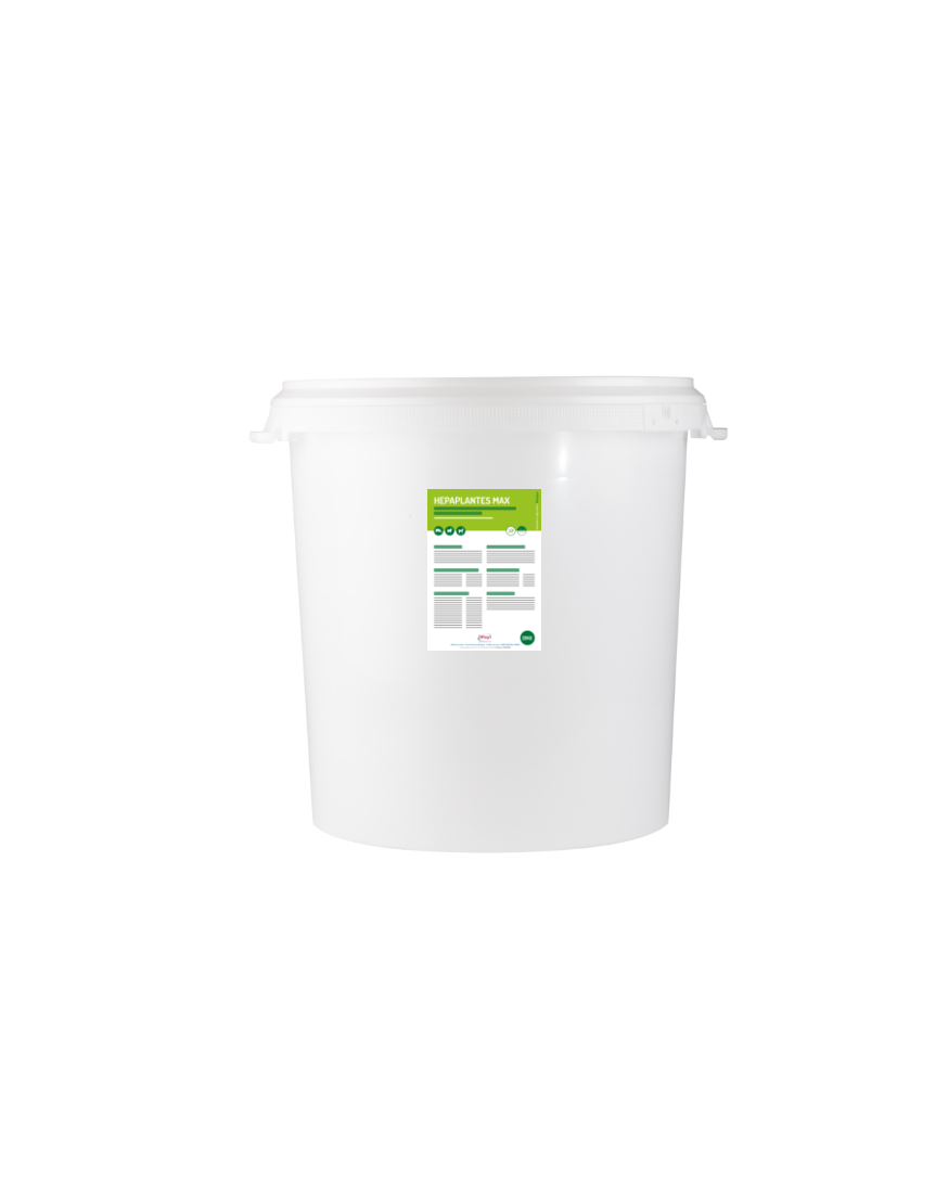 HEPAPLANTES MAX