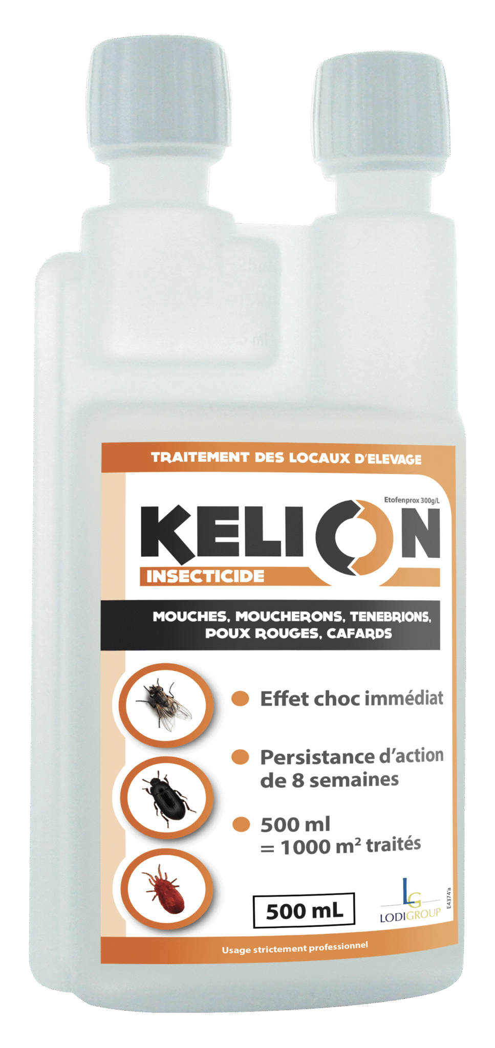 KELION