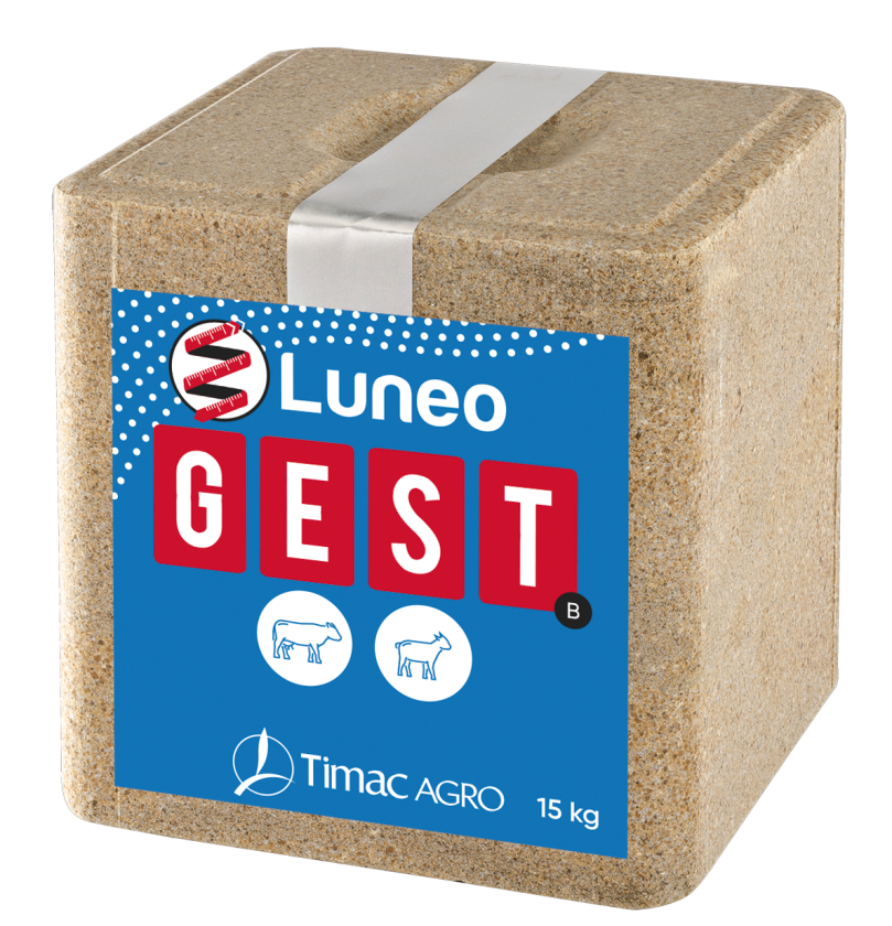 LUNEO GEST