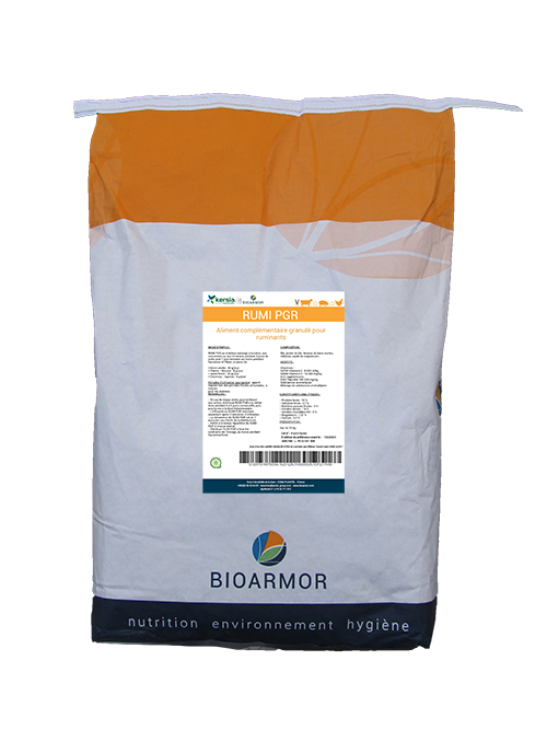 RUMI PGR