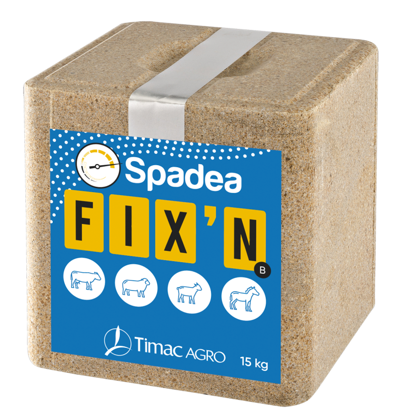 SPADEA FIX&rsquo;N B