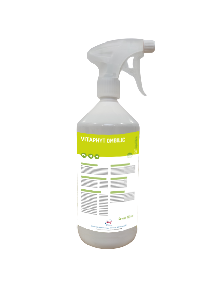 VITAPHYT OMBILIC