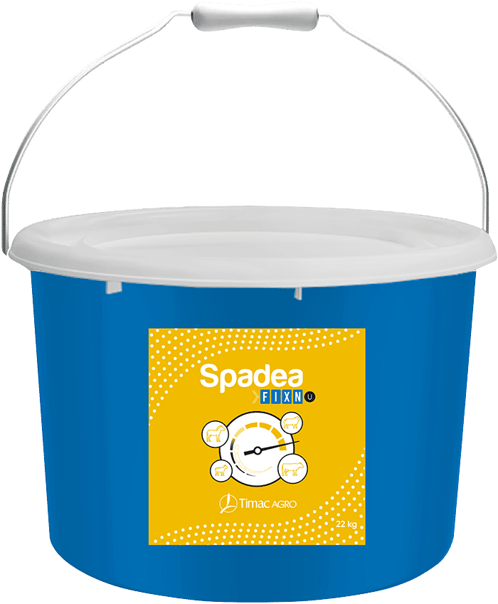 SPADEA FIX&rsquo;N U