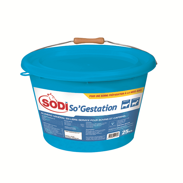 SODI SO&rsquo;GESTATION